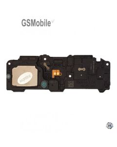Galaxy-S21-Ultra-loudspeaker-buzzer-GH96-13947A.jpg
