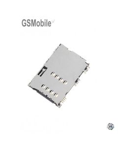 lector_sim_para_Samsung_Tab_2_p3100_p3110.jpg